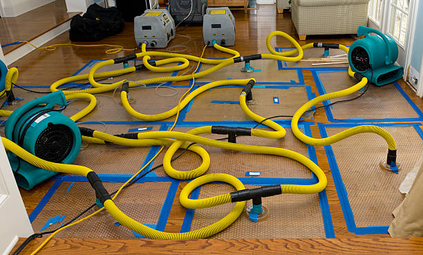 Professional Water Damage Restoration technician working in Cashion, AZ